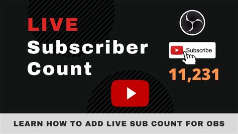 live subscriber count for